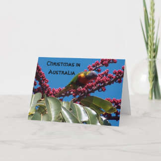 、クリスマス食べ物を与えているLorikeetオーストラリア シーズンカード