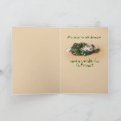 クリスマス飾の子猫 シーズンカード (内部)