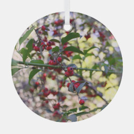 クリスマス飾り ガラスオーナメント