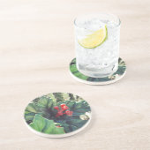 クリスマス飾サボテン コースター (側面)