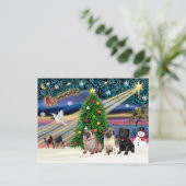 クリスマス魔法のパグ（3、2、1、黒） シーズンポストカード (スタンド正面)