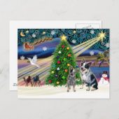 クリスマス魔法オーストラリア牛の犬(2) シーズンポストカード (正面/裏面)