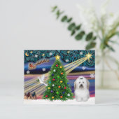 クリスマス魔法コトンデトゥリア シーズンポストカード (スタンド正面)