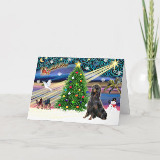 クリスマス魔法ゴードンセッター シーズンカード