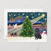 クリスマス魔法スキペルケ シーズンポストカード (正面/裏面)