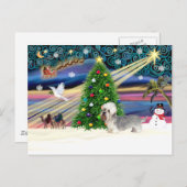 クリスマス魔法ダンディディンモントグレイ シーズンポストカード (正面/裏面)