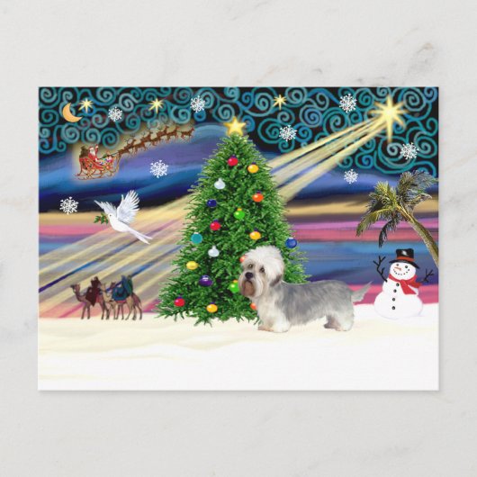 クリスマス魔法ダンディディンモントグレイ シーズンポストカード (正面)
