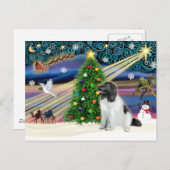 クリスマス魔法ニューファンドランド（ランドセール） シーズンポストカード (正面/裏面)