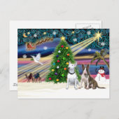 クリスマス魔法ブルテリアペア シーズンポストカード (正面/裏面)
