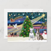 クリスマス魔法ブルテリア(2) シーズンポストカード (正面/裏面)
