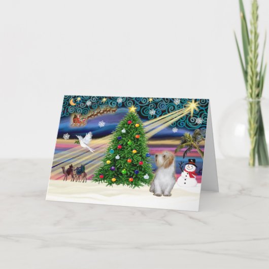 クリスマス魔法プチバスセット3 シーズンカード (正面)