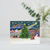 クリスマス魔法プードルトイアプリコット シーズンポストカード (スタンド正面)