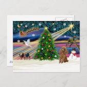 クリスマス魔法プードルトイアプリコット シーズンポストカード (正面/裏面)