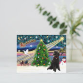 クリスマス魔法プードル(ブラックスタンダード) シーズンポストカード (スタンド正面)