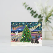 クリスマス魔法プードル（2つの黒のおもちゃ） シーズンポストカード (スタンド正面)