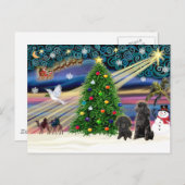 クリスマス魔法プードル（2つの黒のおもちゃ） シーズンポストカード (正面/裏面)
