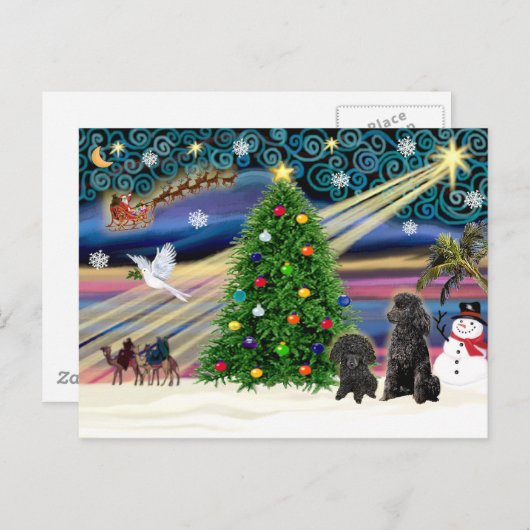 クリスマス魔法プードル（2つの黒のおもちゃ） シーズンポストカード (正面/裏面)