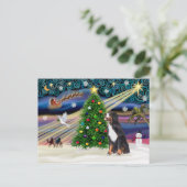 クリスマス魔法ベルネースマウンテンドッグ シーズンポストカード (スタンド正面)