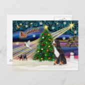 クリスマス魔法ベルネースマウンテンドッグ シーズンポストカード (正面/裏面)