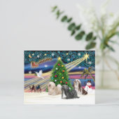 クリスマス魔法ラサアプソトリオ シーズンポストカード (スタンド正面)