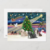クリスマス魔法ラサアプソトリオ シーズンポストカード (正面/裏面)