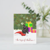 クリスマス魔法 シーズンポストカード (スタンド正面)