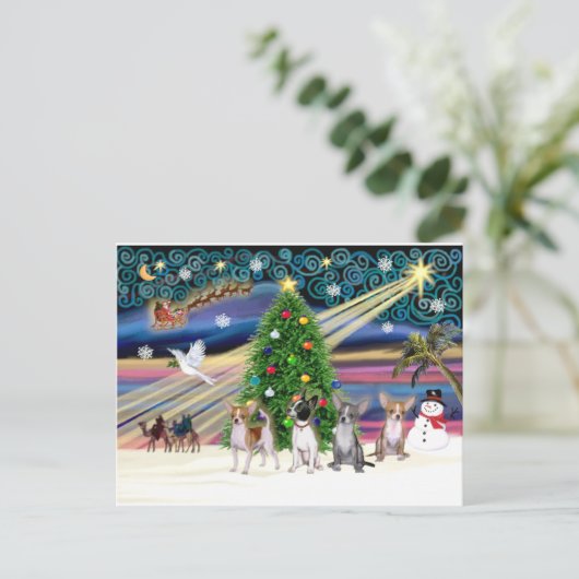 クリスマス魔法-チフアワ(4) シーズンポストカード (スタンド正面)