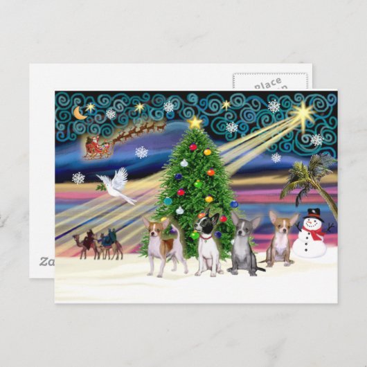 クリスマス魔法-チフアワ(4) シーズンポストカード (正面/裏面)