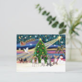 クリスマス魔法 – チワハス(4) シーズンポストカード (スタンド正面)