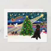 クリスマス魔法 – プードル – 標準 – 黒 シーズンポストカード (正面/裏面)