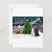 クリスマス魔法-プードルST-ペア2 シーズンポストカード (正面/裏面)