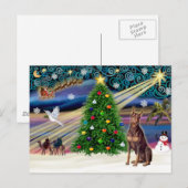 クリスマス魔法（犬）ドーベルマン・ピンシェル（赤） シーズンポストカード (正面/裏面)
