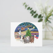 クリスマス魔法- 3モルモット シーズンポストカード (スタンド正面)