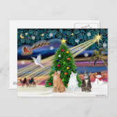 クリスマス魔法- 3匹の猫(2匹のタビー白) シーズンポストカード (正面/裏面)