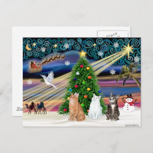 クリスマス魔法- 3匹の猫(2匹のタビー白) シーズンポストカード (正面/裏面)