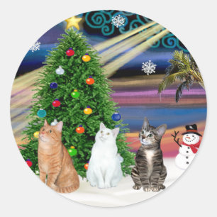 クリスマス魔法- 3匹の猫(2匹のタビー白) ラウンドシール