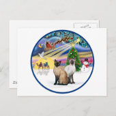 クリスマス魔法(R) – シャム猫2匹 シーズンポストカード (正面/裏面)