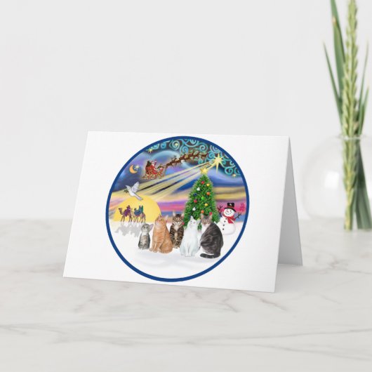 クリスマス魔法(R) - 5匹の猫(AmSH) シーズンカード (正面)