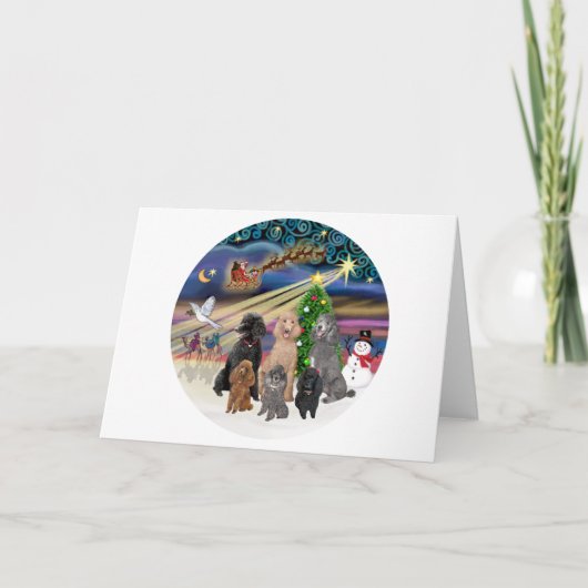 クリスマス魔法(R) - 6標準プードル シーズンカード (正面)