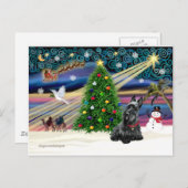 クリスマス魔法-Scottie2B シーズンポストカード (正面/裏面)