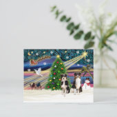 クリスマス魔法-Tri-AussieShepPAIR-6-7 シーズンポストカード (スタンド正面)