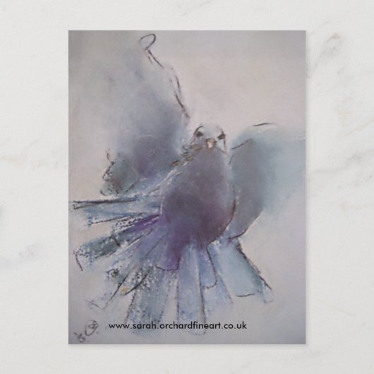 クリスマス鳩 – 2010 シーズンポストカード (正面)