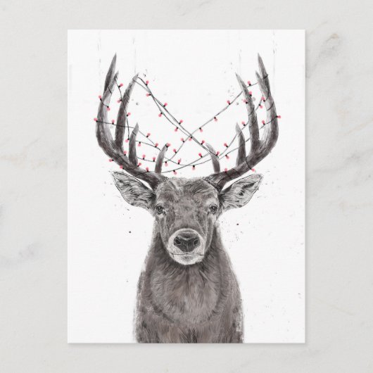 クリスマス鹿 ポストカード (正面)