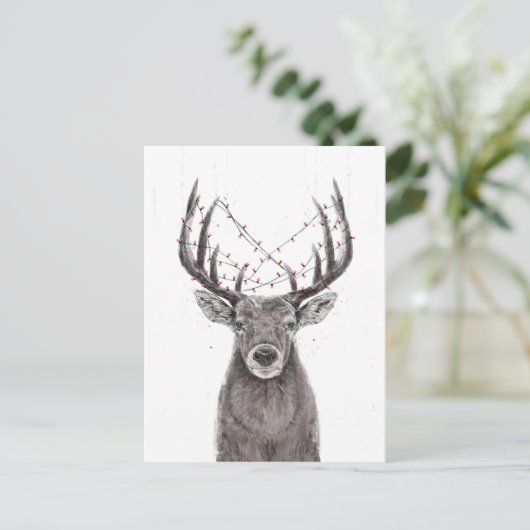 クリスマス鹿 ポストカード (スタンド正面)