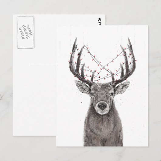 クリスマス鹿 ポストカード (正面/裏面)