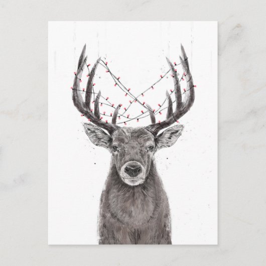 クリスマス鹿 ポストカード (正面)
