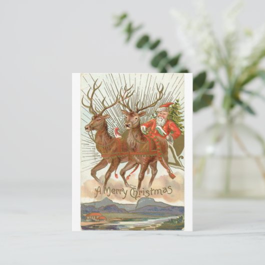 クリスマス (スタンド正面)