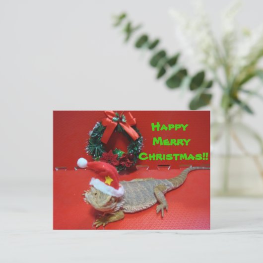 クリスマス (スタンド正面)