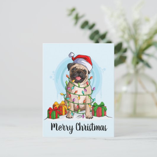 クリスマス (スタンド正面)