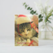 クリスマス (スタンド正面)